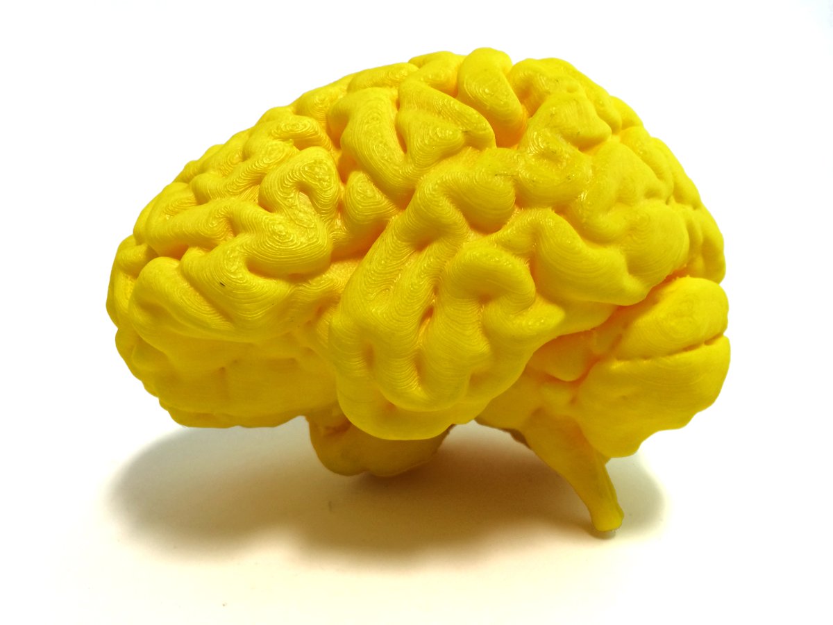 Neural Cell News tweet media