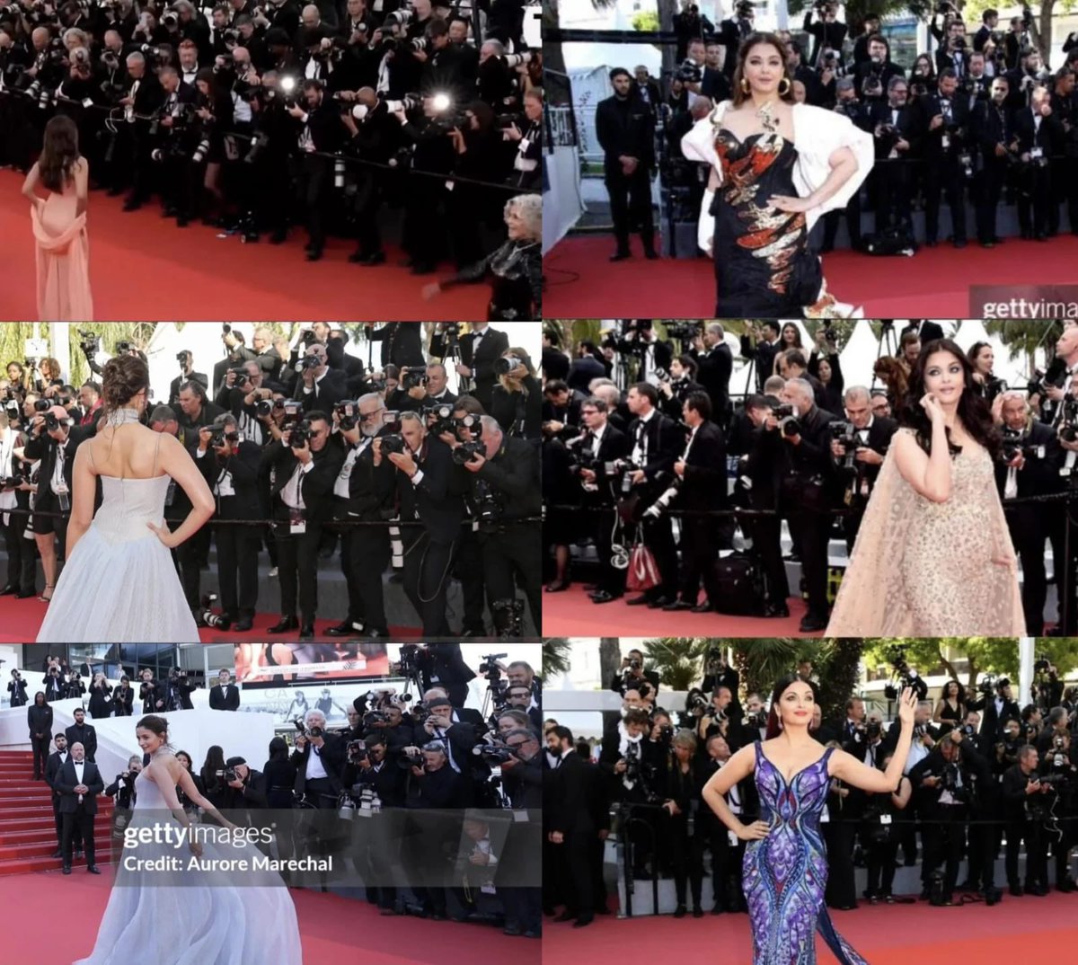 BollyGupp tweet media
