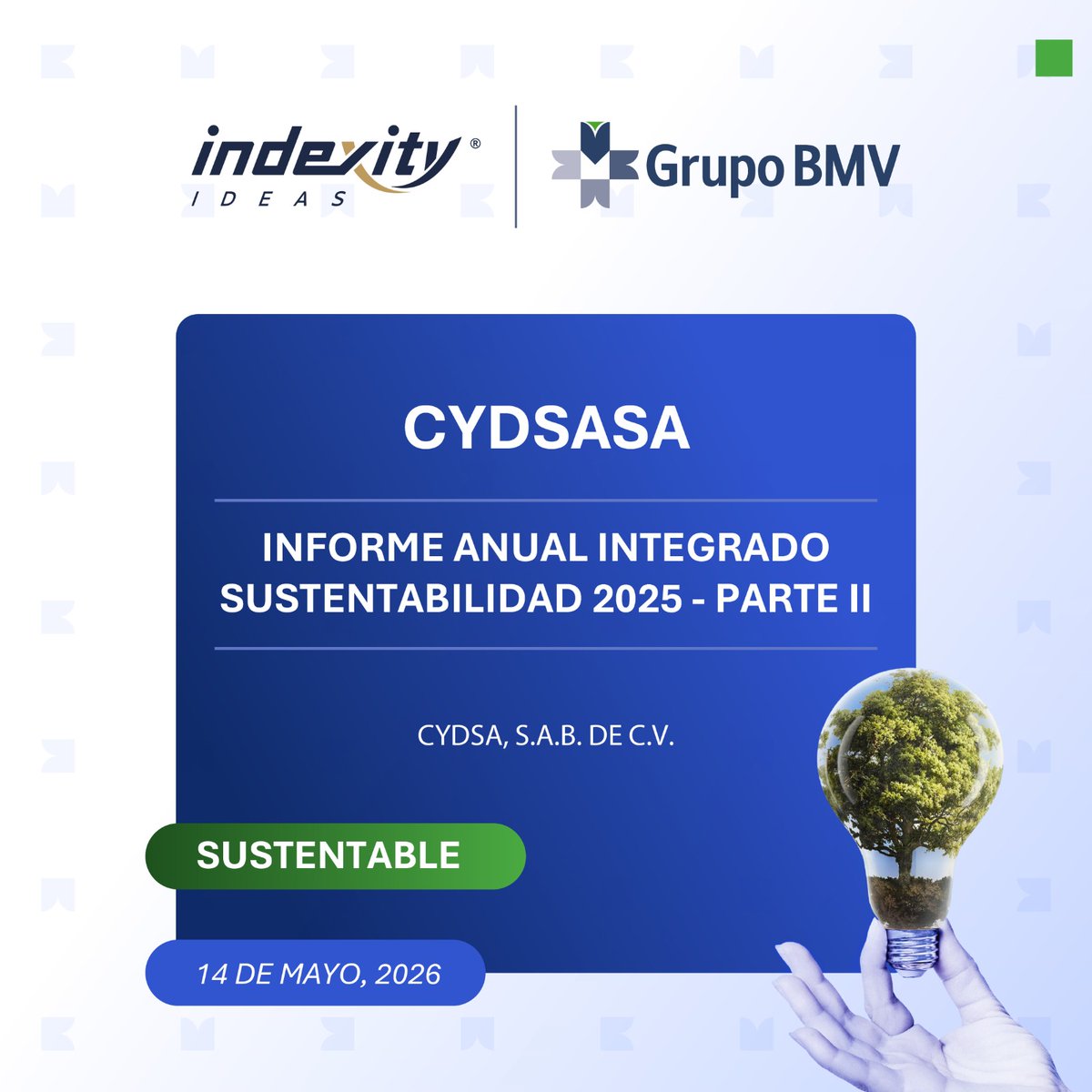 Indexity tweet media