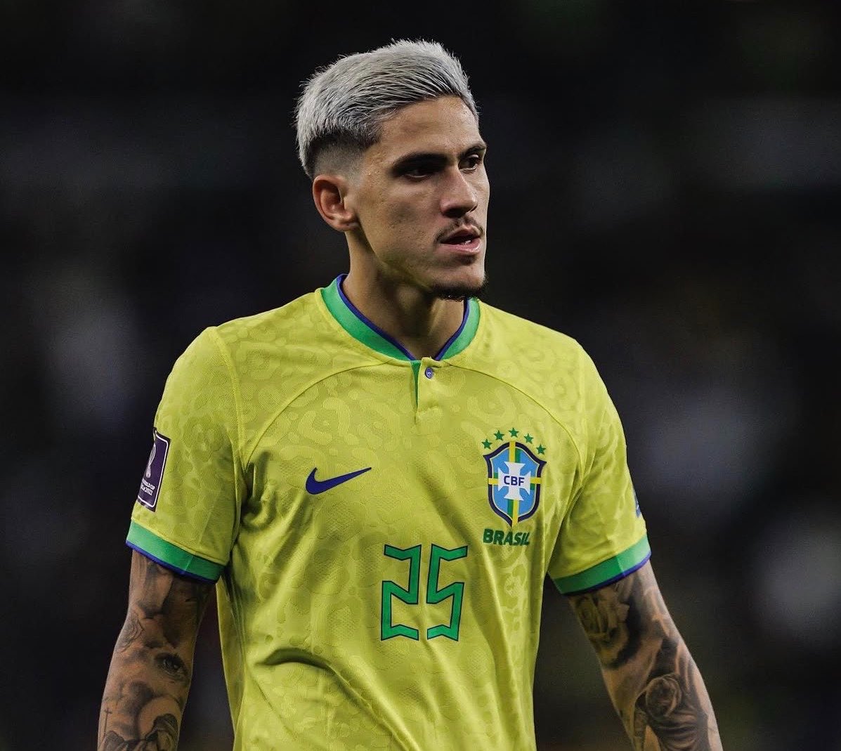 Ginga Bonito 🇧🇷 tweet media