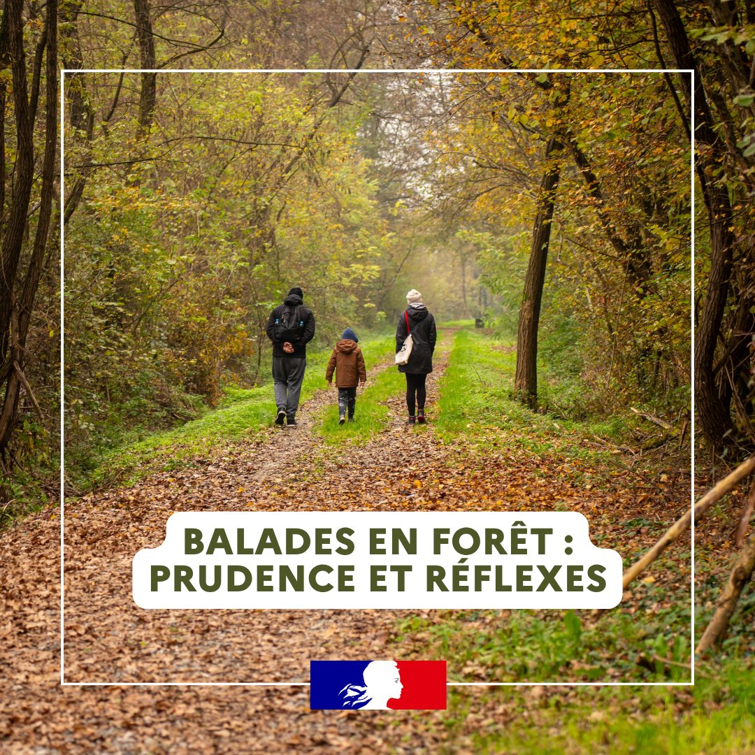 Image de Préfet de la Moselle - #Santé 🌿 | Balades en forêt : profitez des beaux jours en restant vigilants

🌞 Avec le retour du p