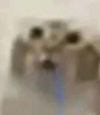 selkie howl tweet media
