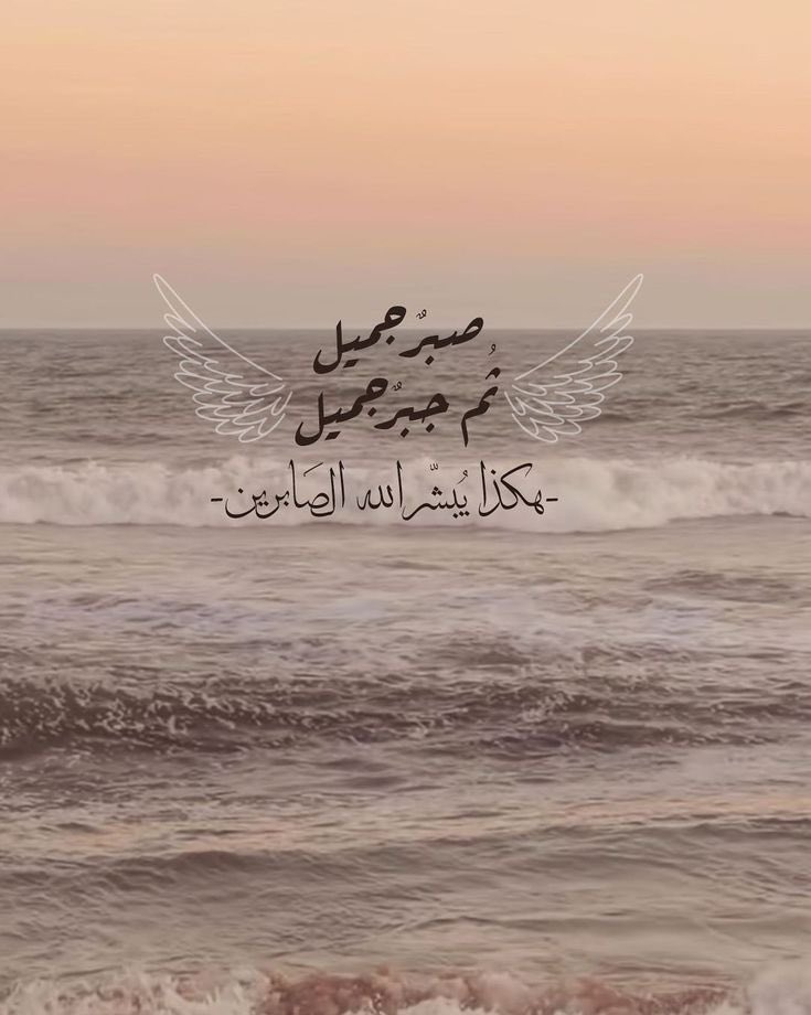 Sh3rj's tweet photo. هكذا يُبشر الله الصابرين ❤️. https://t.co/qGrxxGQdh4