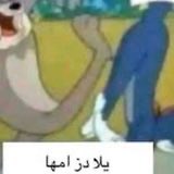 LunarVeil🇸🇦 tweet media