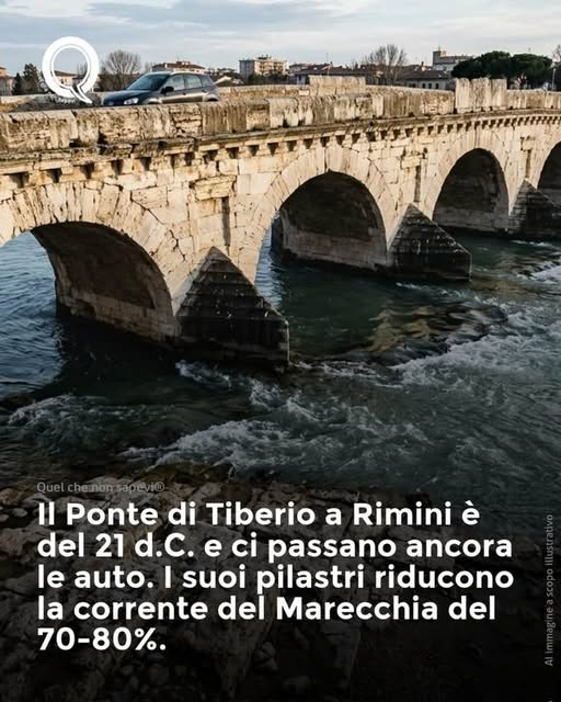 pier luigi pinna tweet media
