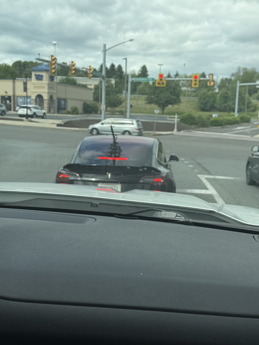 lucaxyn's tweet photo. I’ve never seen a Tesla with a fucking gap cam what a dork bro 😭 https://t.co/TJXUPMYRoD