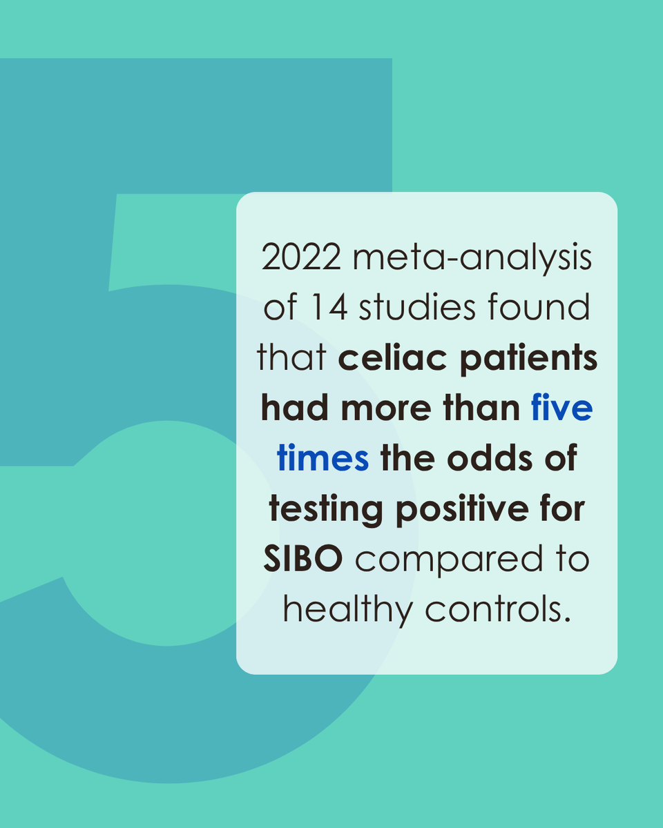 GemelliBiotech's tweet photo. In our latest article, we break down the connection between celiac disease and SIBO, plus why gut symptoms can stick around even when you’re doing everything “right.” Check it out here: https://t.co/lFRM2PZliG https://t.co/G0tpEclJAU