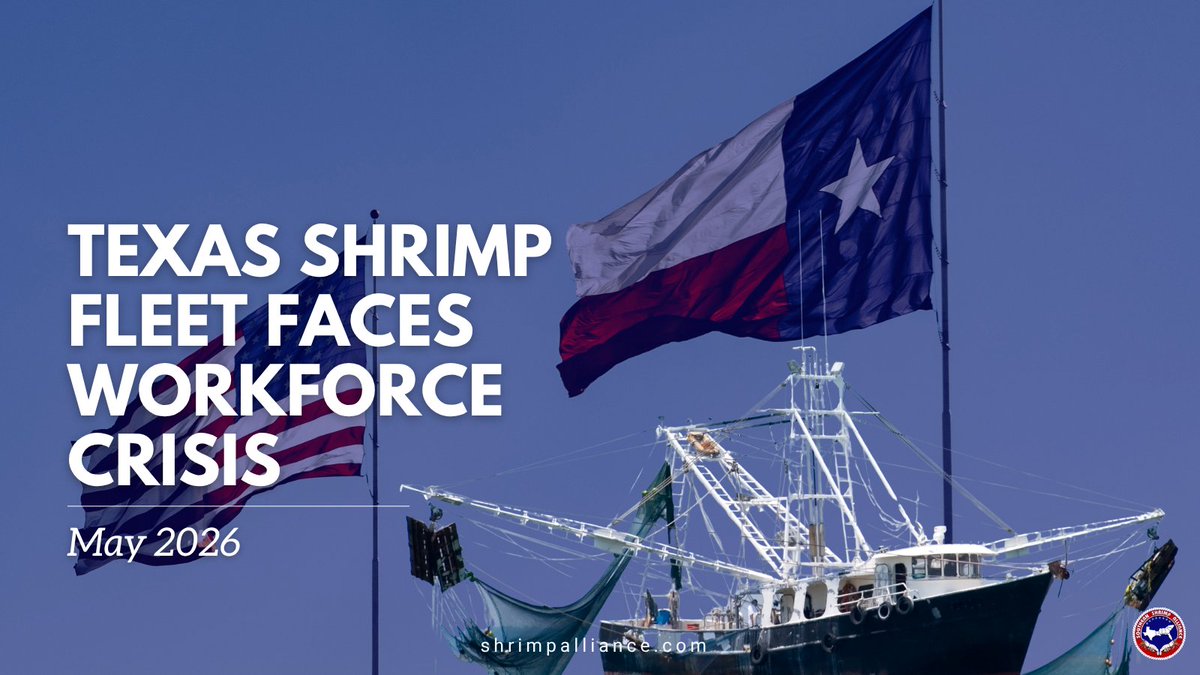 Southern Shrimp Alliance tweet media