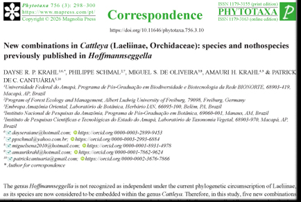 Phytotaxa updates tweet media