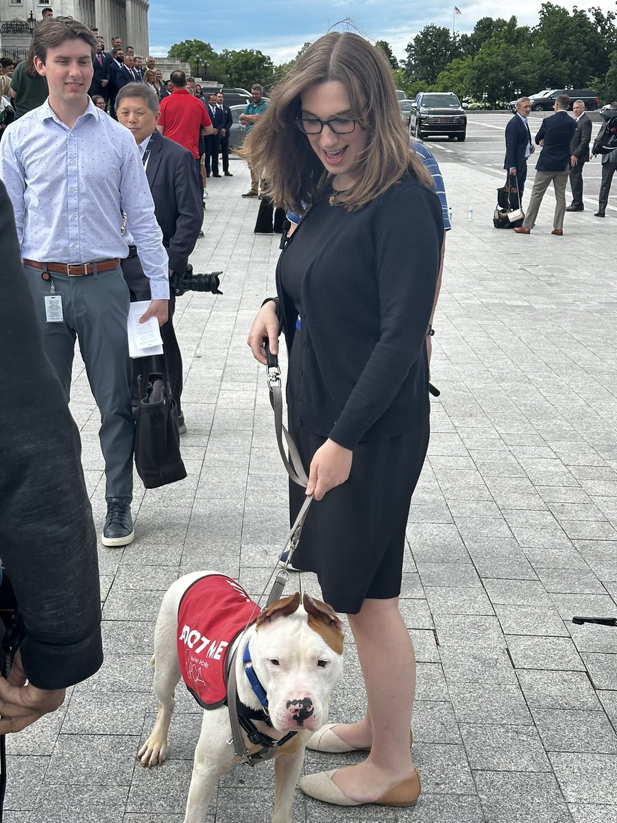 BenjaminSWeiss's tweet photo. 🐶MEET SMOOCHES: Rep. @SarahEMcBride brought this local ASPCA pooch up to the Capitol for “Shelter Skip Day.” https://t.co/DNOvTWg7Dm