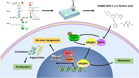 Dermal Cell News tweet media