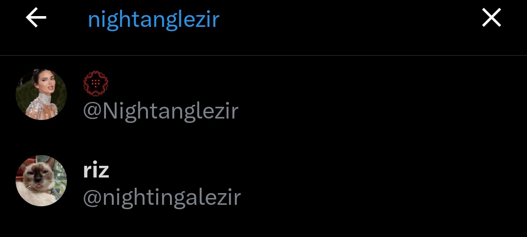 RkiveProtect tweet media