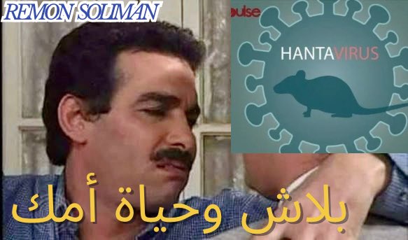 Remon Soliman tweet media