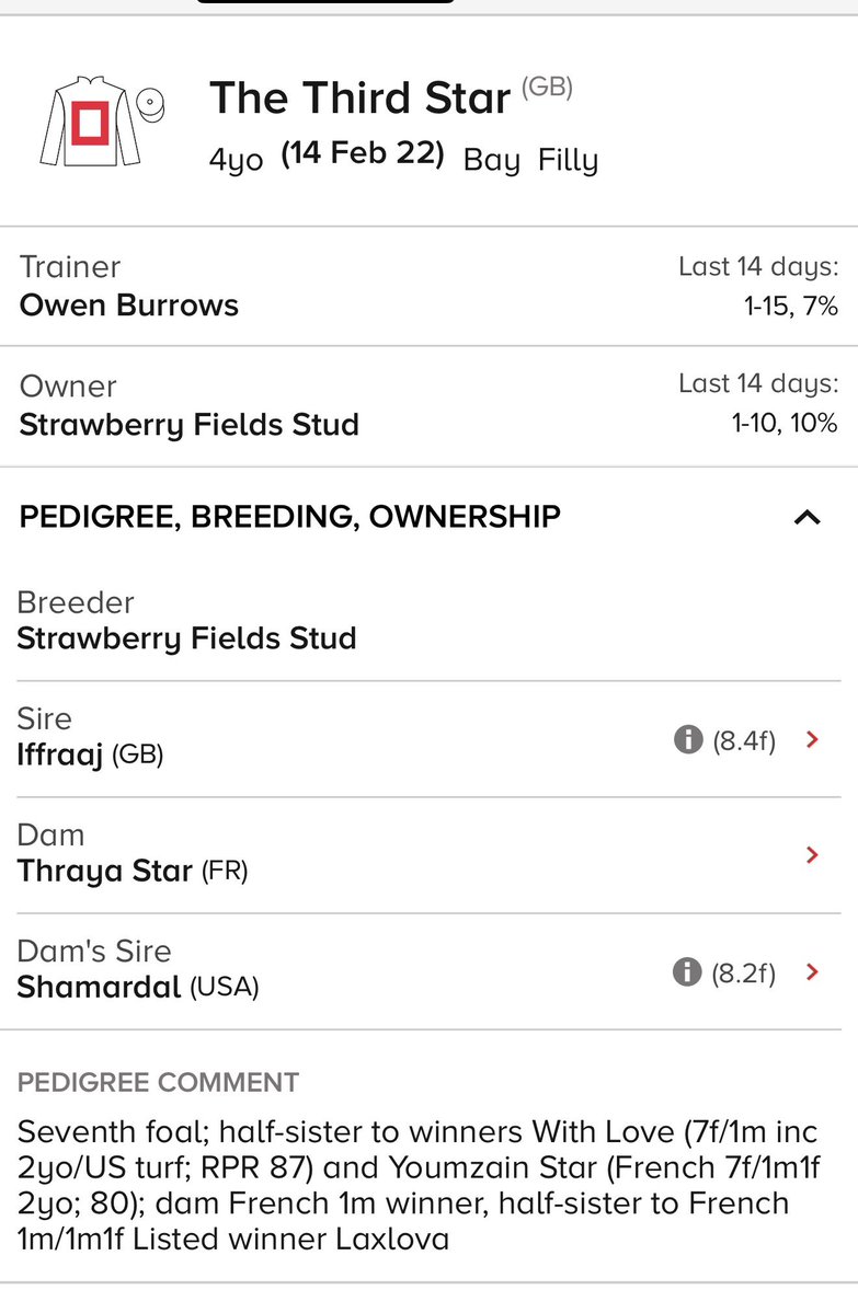Top Racing Tips tweet media