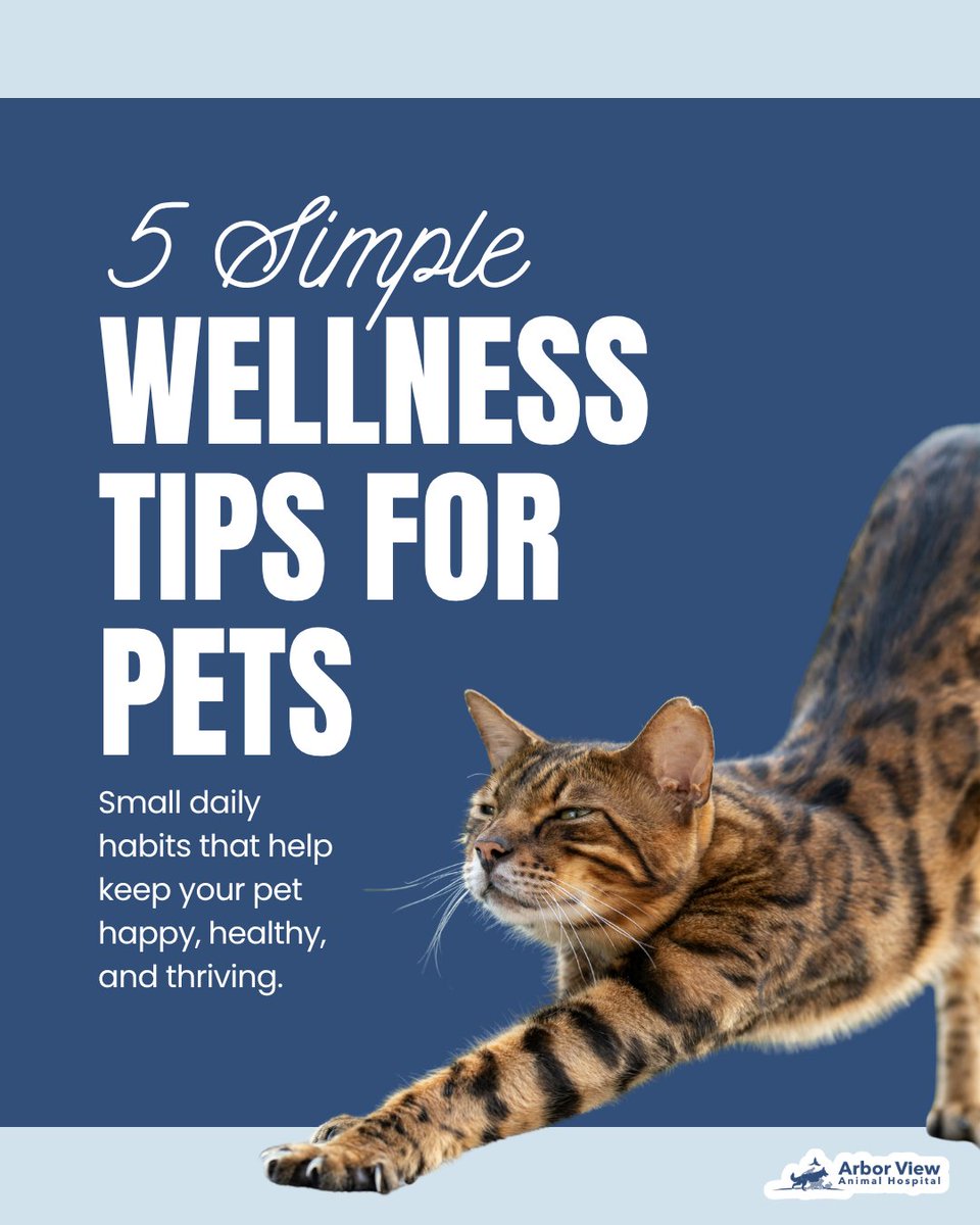ArborViewAH's tweet photo. Small daily habits can have a big impact on your pet’s long-term health.

Providing a balanced diet, regular exercise, dental care, parasite prevention, and routine wellness exams can help keep your pet feeling their best.

#PetWellness #PreventiveCare https://t.co/zsxVUy0LXz