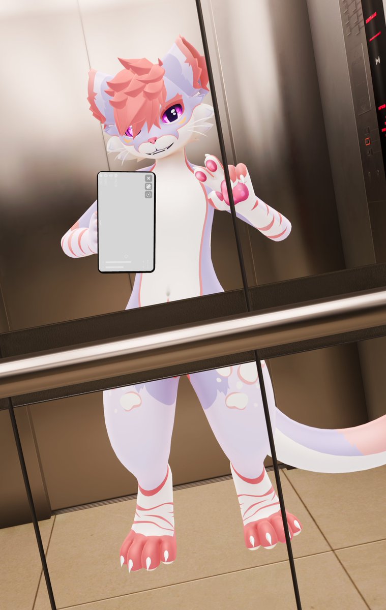 IItsSocks's tweet photo. This cat only goes up! (In the elevator)

#MayuMay https://t.co/vM39Ch15Gn