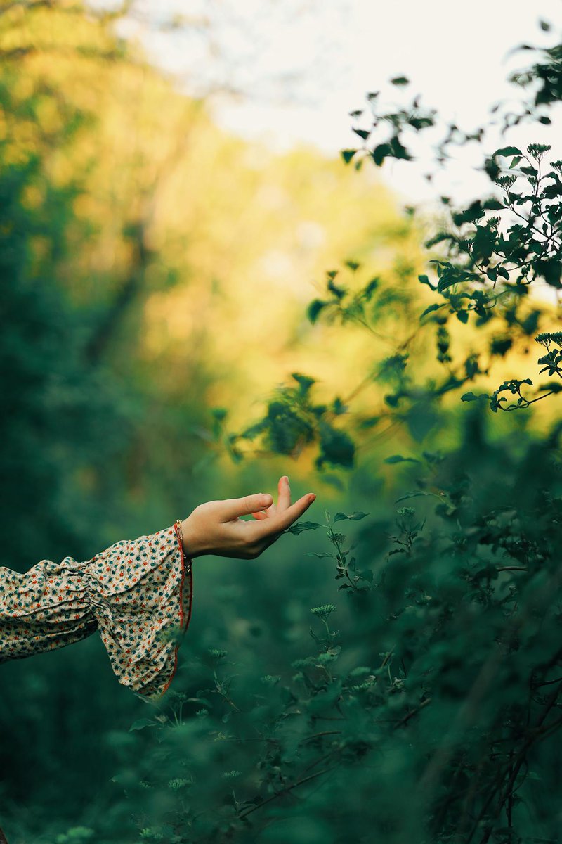 tykcando's tweet photo. You can practice #gratitude from the moment you awake in the morning. https://t.co/0xJPZHgma3