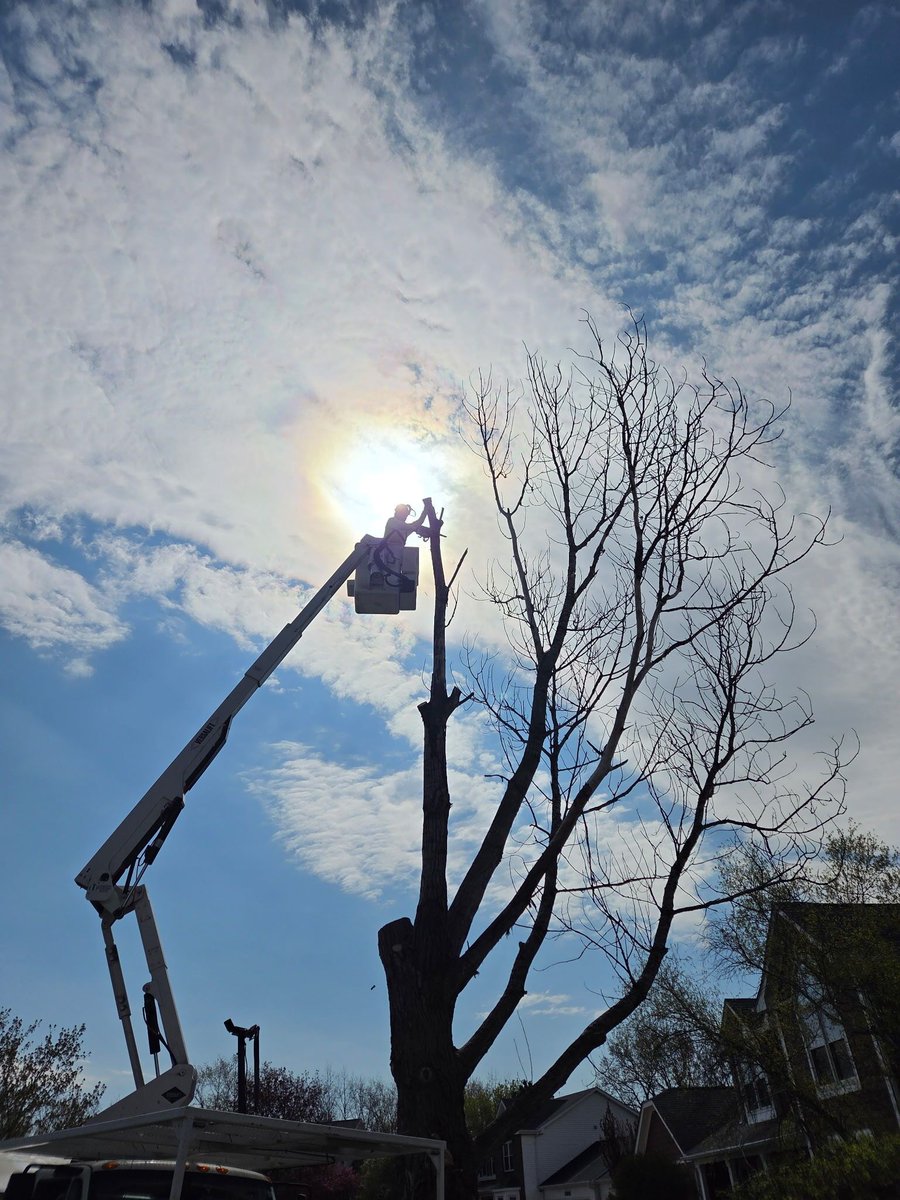 PlPrairieWI's tweet photo. Our Public Works Highway Department recently removed a dead tree. While it's unfortunate to see a tree go, he tree posed a risk to pedestrians, motorists, and nearby power lines.
 
We wish to thank our Public Works team for their commitment to keeping residents and visitors safe. https://t.co/jTS5vSETCg