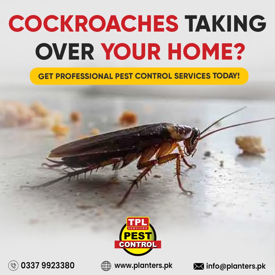 TPL Pest Control tweet media