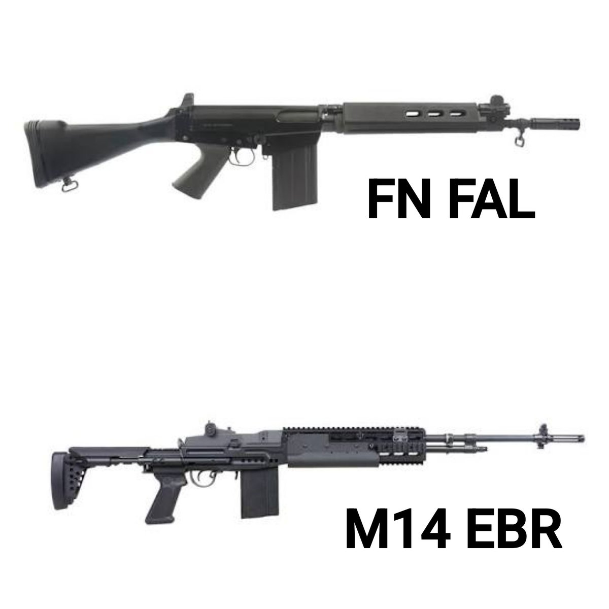 Gun Fanatics tweet media