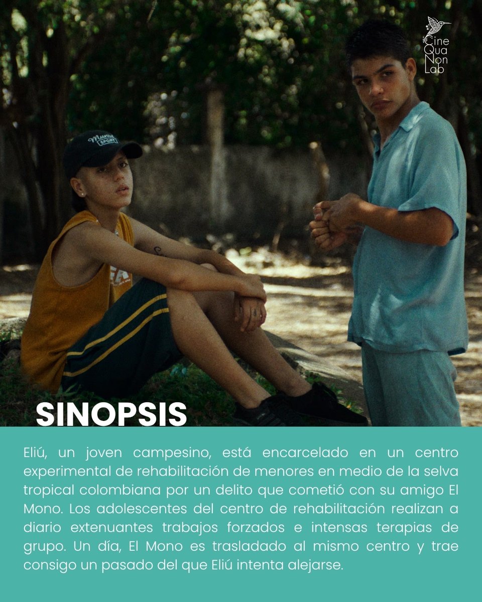 Cine Qua Non Lab tweet media