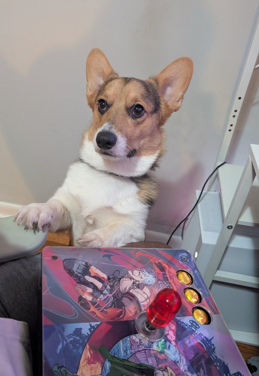 lil button masha tweet media