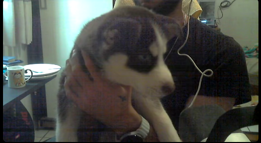 Julieralol's tweet photo. Com vocês OMOTOPROTA https://t.co/bi0lc5sbZz