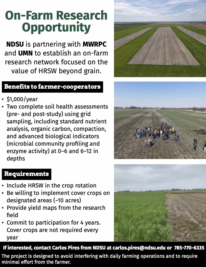 mnwheat's tweet photo. It's not too late to participate in important on-farm research focused on the value of HRSW beyond grain! https://t.co/wEZwjErIis