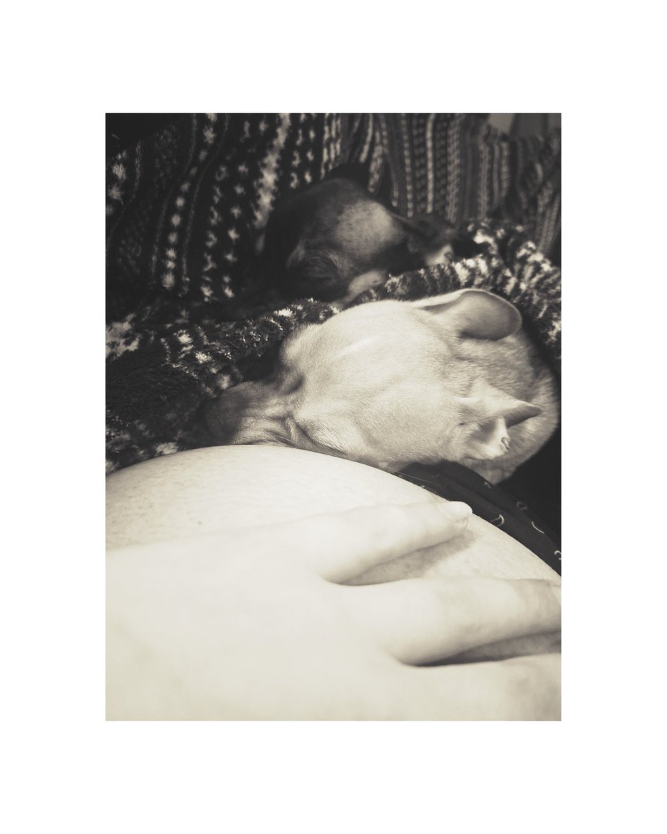 02Andreadtf_'s tweet photo. Mis bebes cuidando a mami y a mi otro bebe😍😍🥰🥰 https://t.co/CFXues7E5J