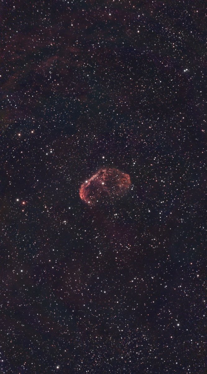 Scotia Astro tweet media