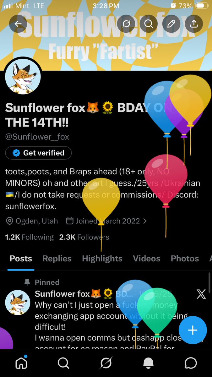 Sunflower fox🦊🌻 tweet media