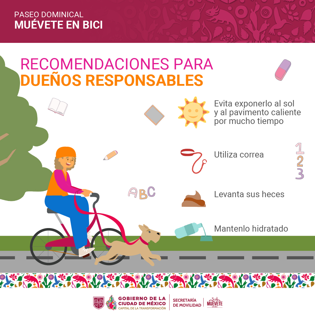 MI Bici CDMX tweet media