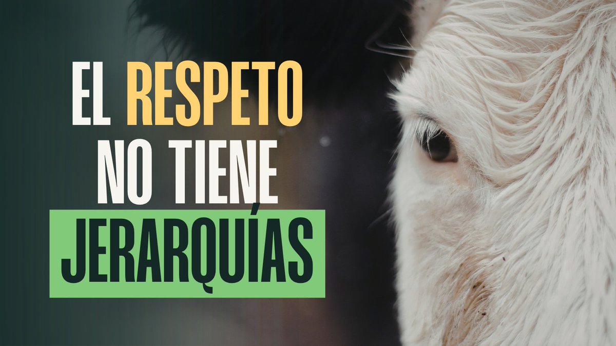 AsocArba's tweet photo. Cuando se dice ser vegano, no solo se habla de lo que hay en un plato. 🌱💚

Se afirma que no se cree que el valor de una vida se mida por su utilidad para el humano. Ningún ser sintiente existe para ser explotado o asesinado en nombre de nuestra comodidad. https://t.co/QKj7P7bC75