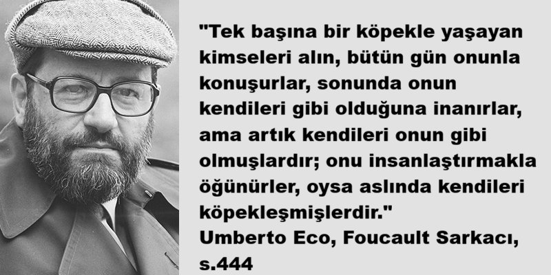 Ebubekir yıldırım tweet media