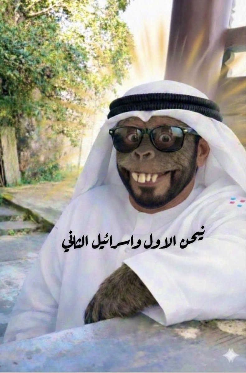 TALAL tweet media