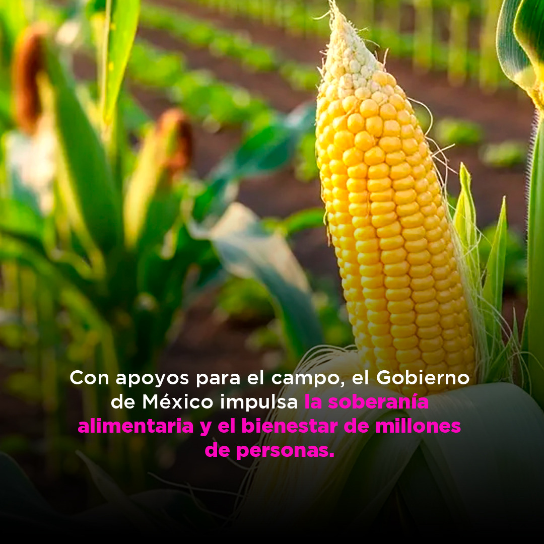 Conagua tweet media