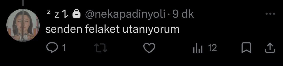 karen tweet media