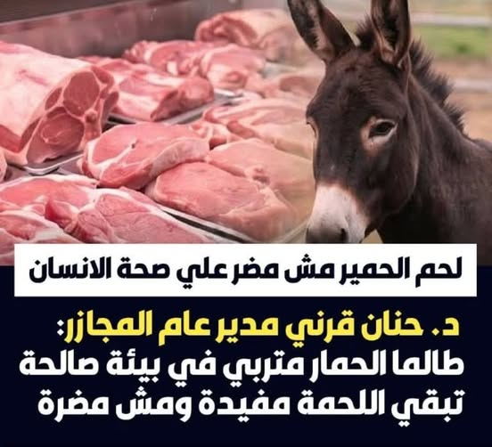 dr amany_د.أماني tweet media