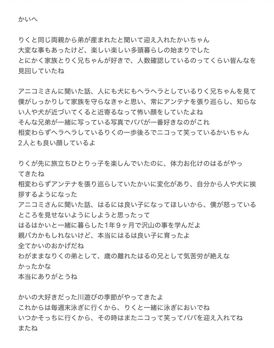 おとぼけレトリバー りく＆かい&はる tweet media