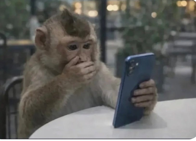 _tmma's tweet photo. me checking my bank account after prioritizing my happiness belike : https://t.co/0ZiTKOJAsk