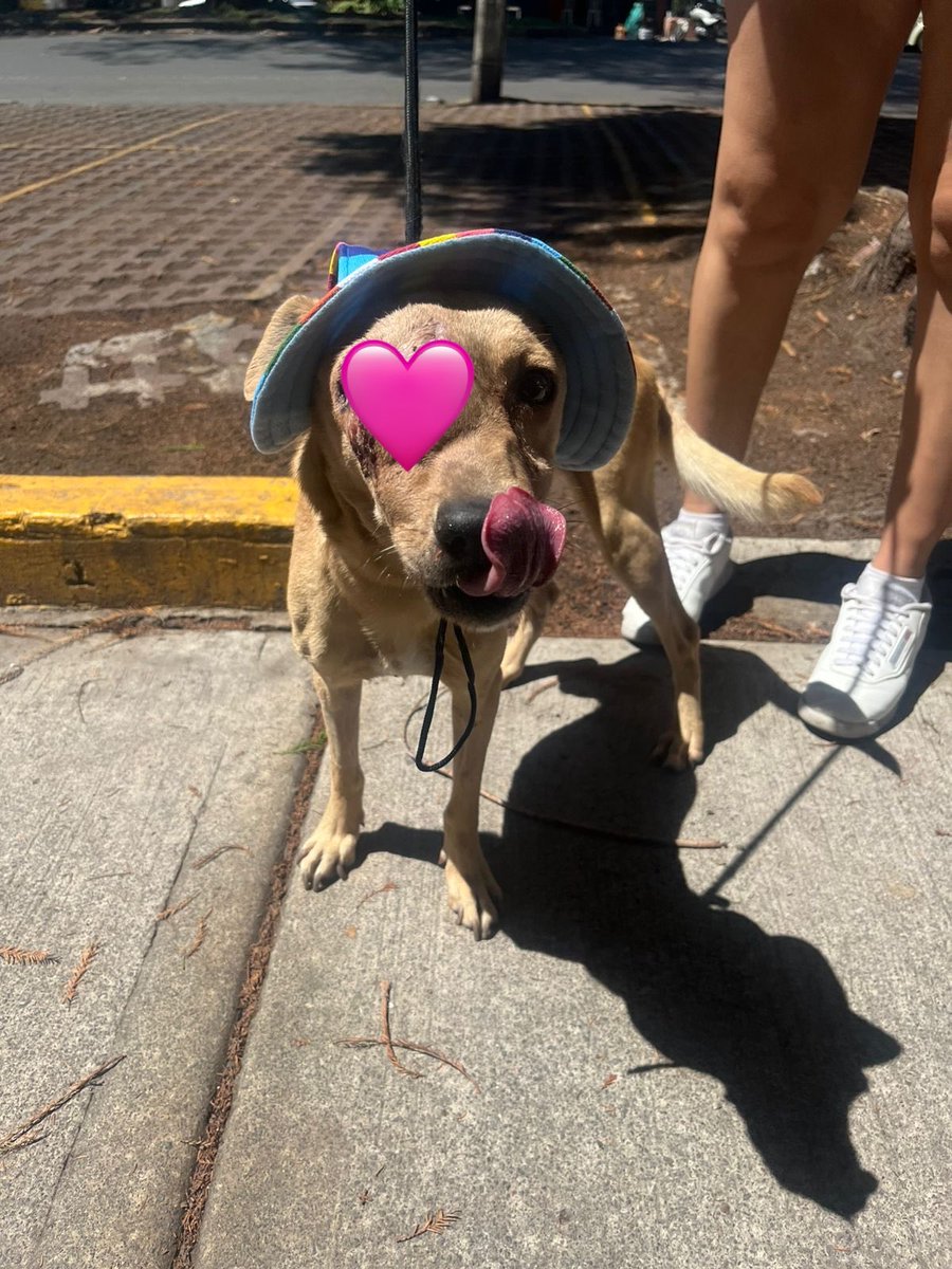 𝙷𝚎𝚕𝚊 𝙼𝚘𝚛𝚎 🐶 tweet media
