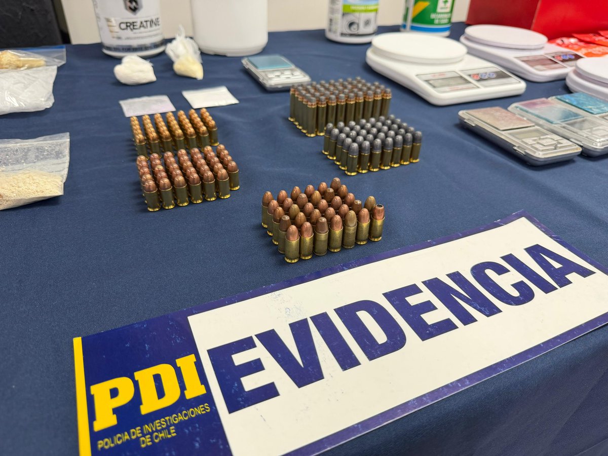 PDI_LosLagos tweet media