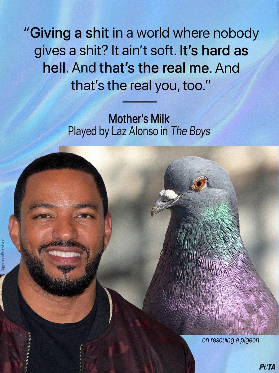 PETA tweet media