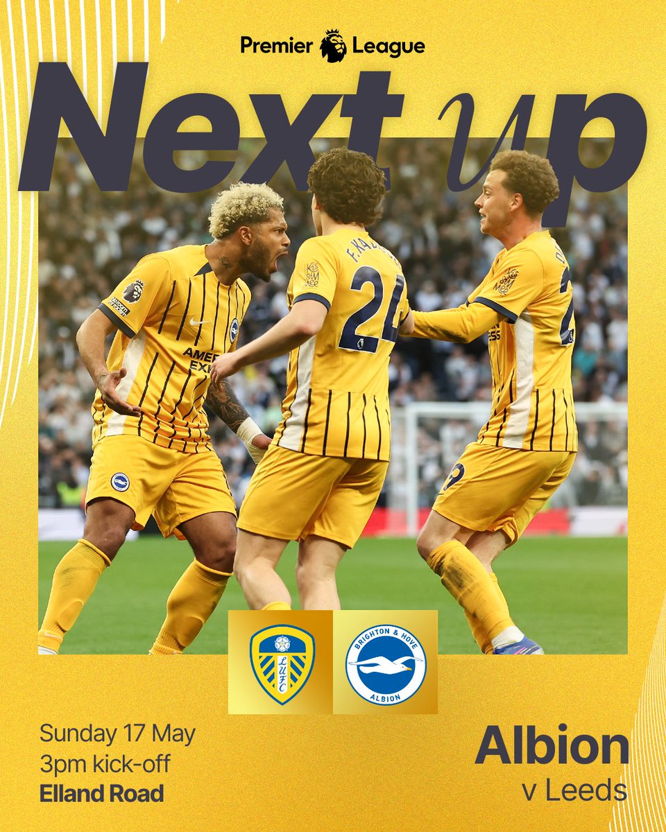 Brighton & Hove Albion tweet media