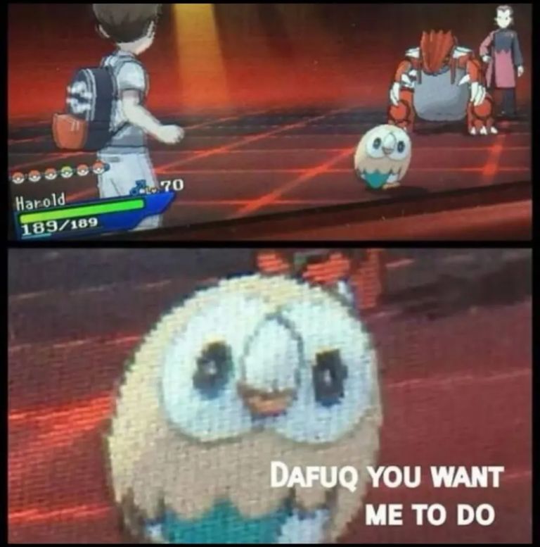 Pokémon Posts tweet media