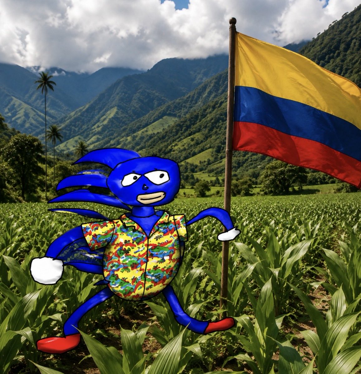 Gotta Go Fast tweet media