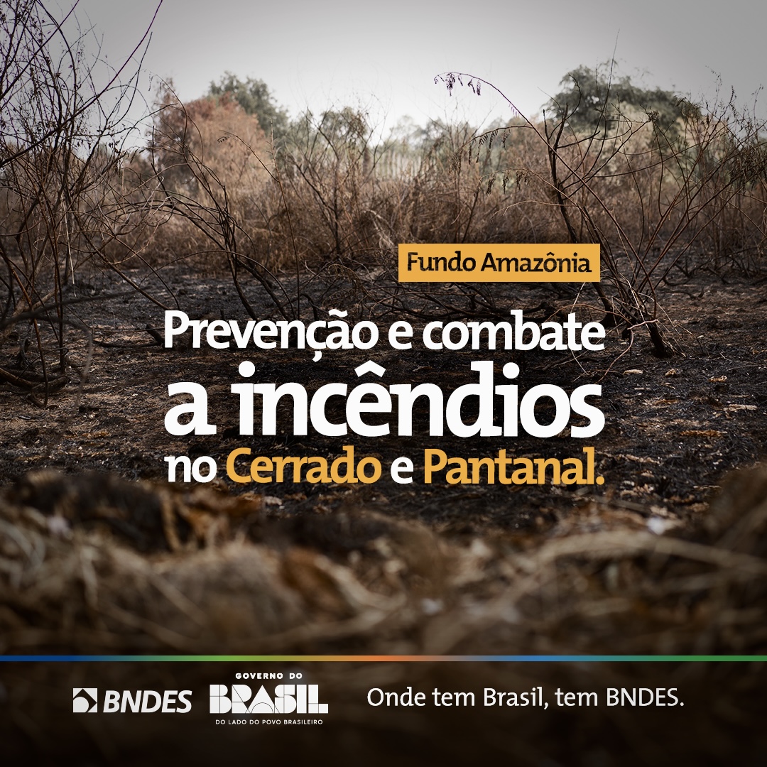 BNDES tweet media