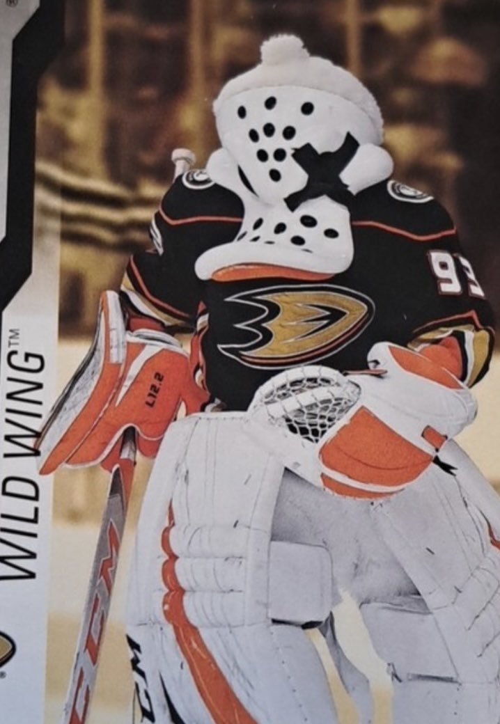 ChanceNHL's tweet photo. @WildWingANA @AnaheimDucks @HondaCenter 😏
#MascotShade https://t.co/dOEH1FVwDo