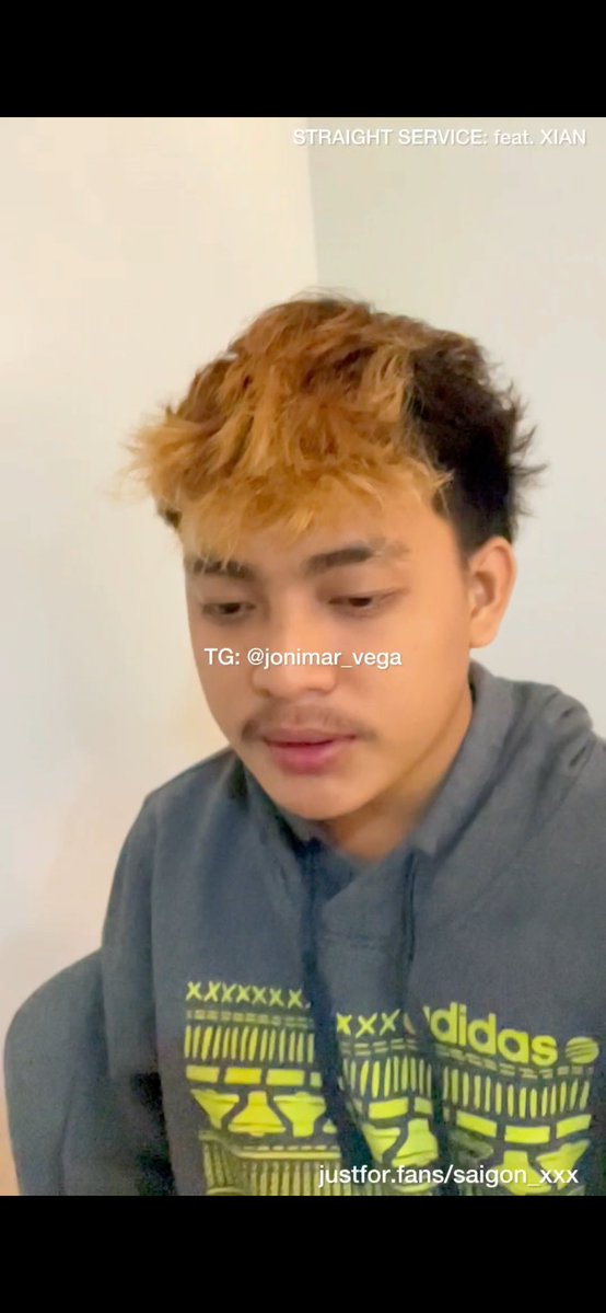 VEGA tweet media