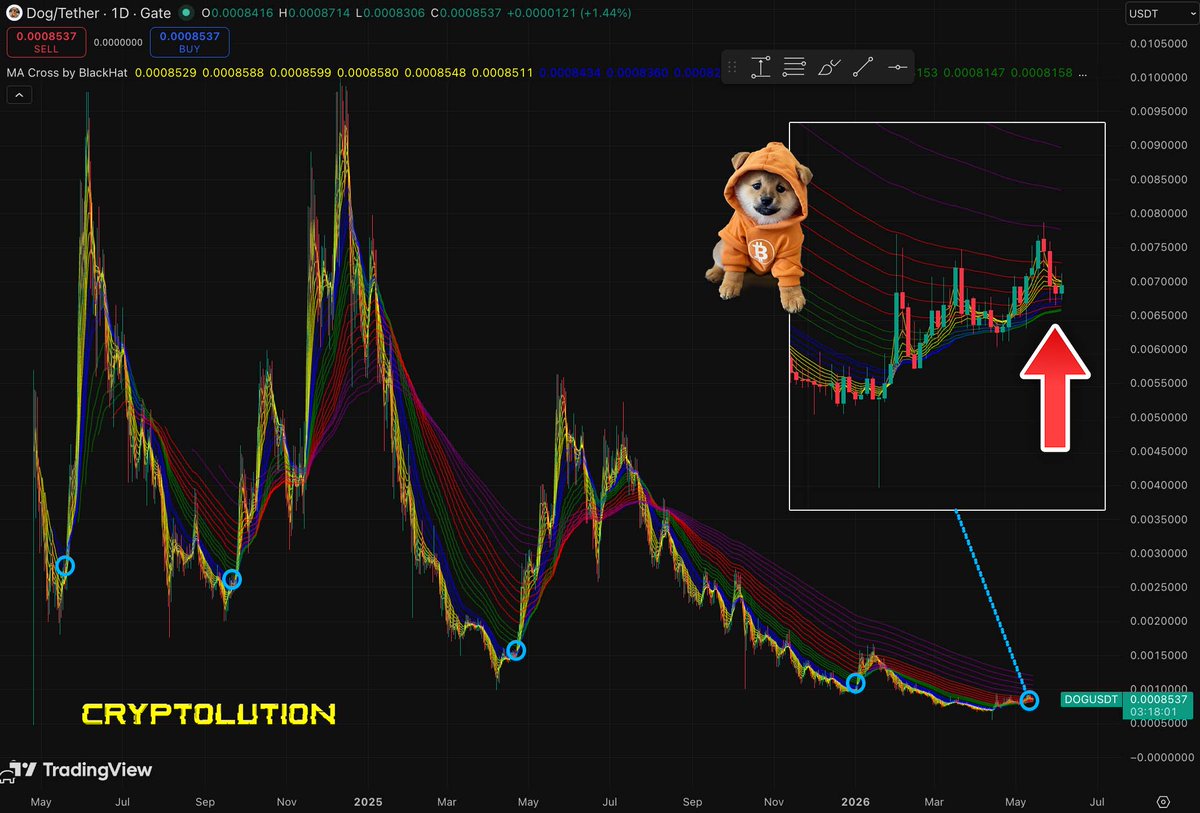 Vincent (Cryptolution) 👑 tweet media
